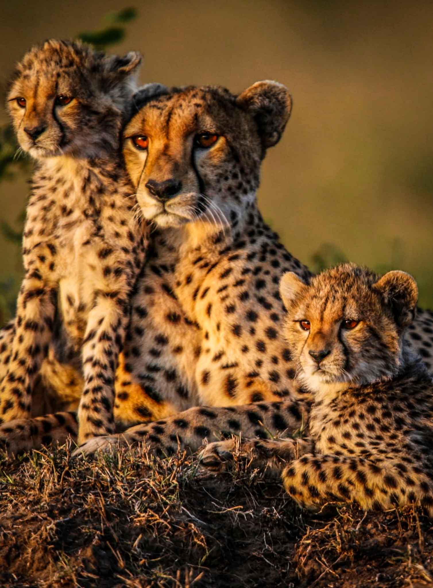 Borana Laikipia school